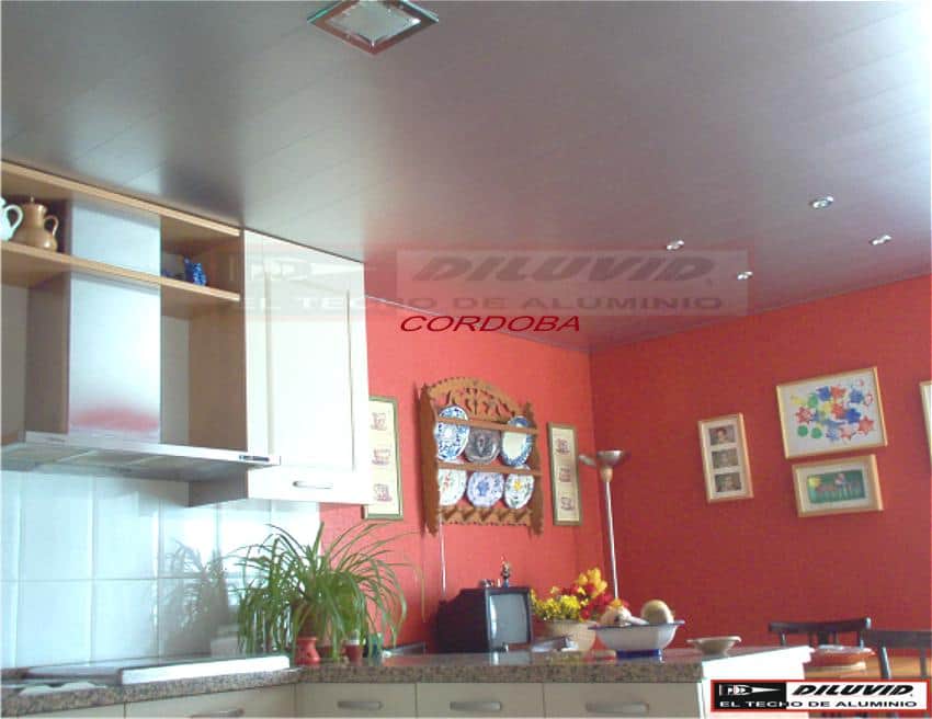 Techo-de-aluminio-cocina-inox